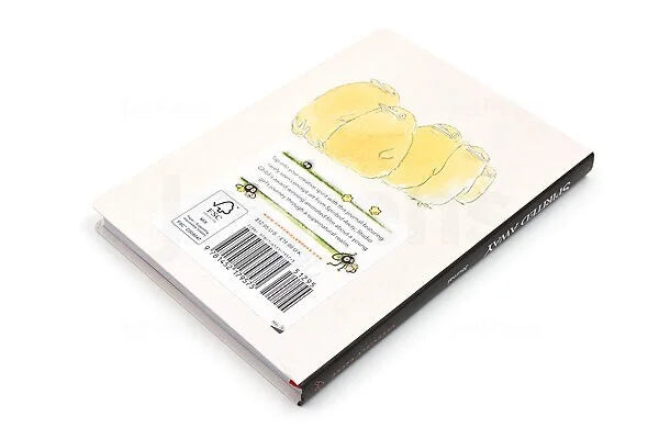 Studio Ghibli Spirited Away Officiële Notebook Chihiro Notitieboek
